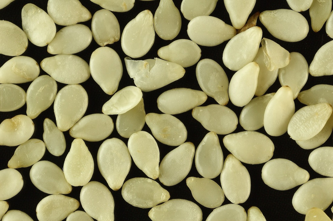 Natural sesame seeds