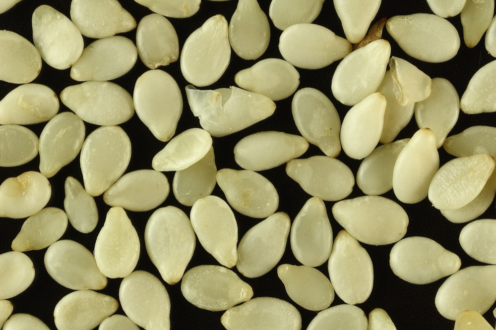 Natural sesame seeds