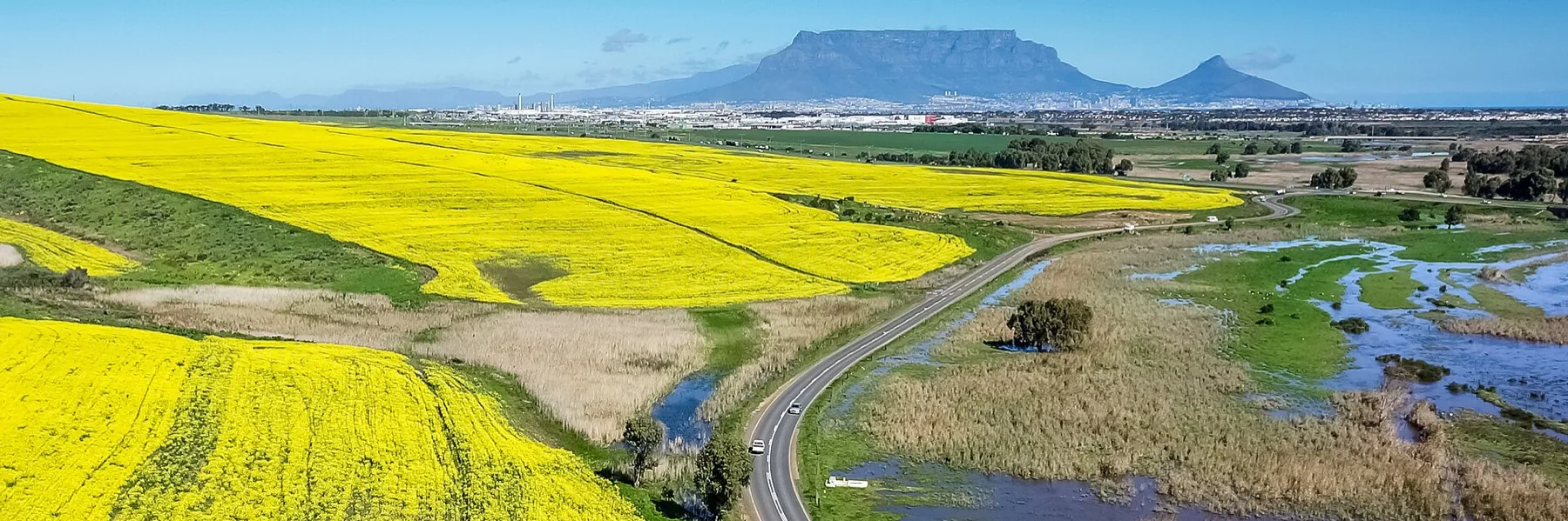Aerial view of cultivated farmland
